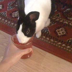 Meet your Posher, Roger